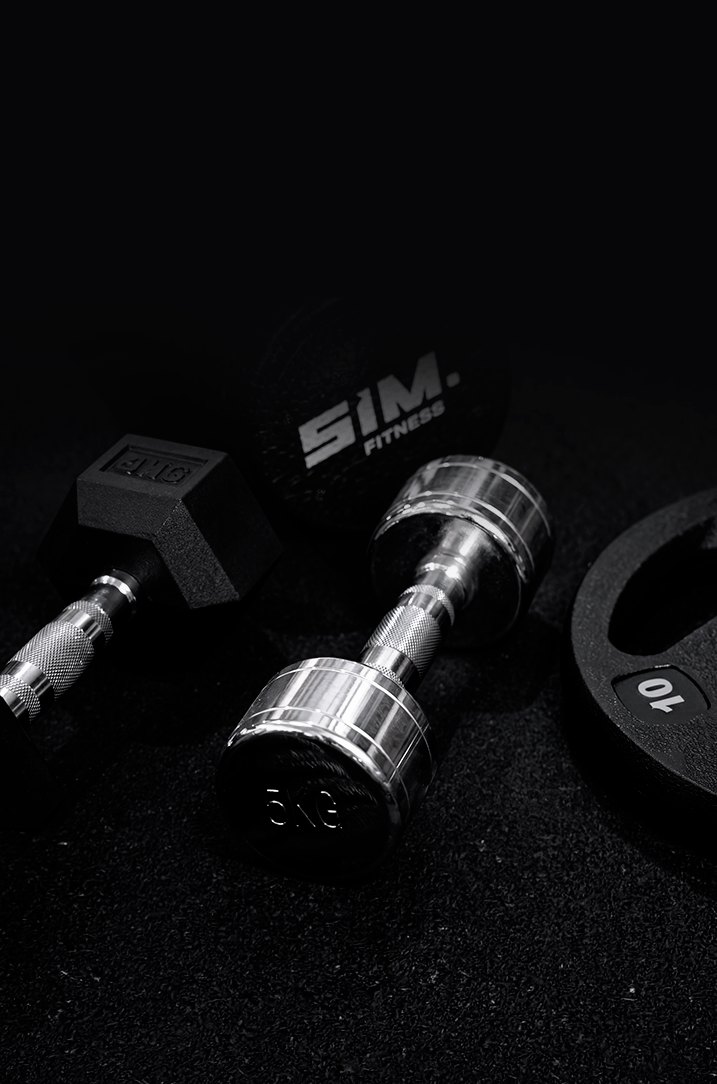 Dumbbells cromado e sextavado ao lado de anilha e wall ball